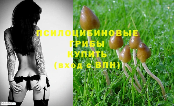 таблы Кинешма