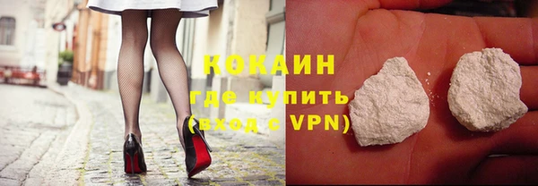 прущие грибы Киренск